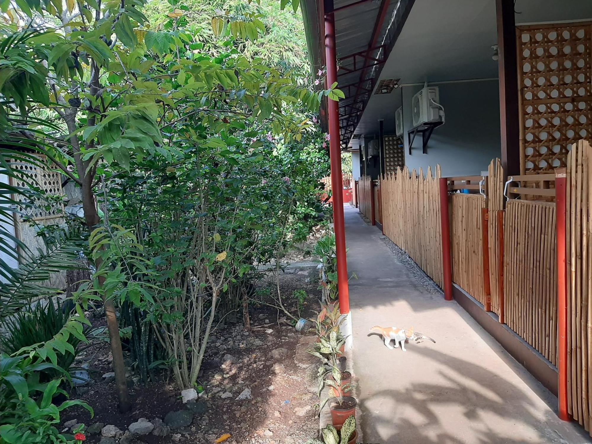 Alimpay Foresters Apartment Панглао Екстериор снимка